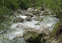 Rijeka Prača: Raj za pastrmku i lipljana
