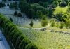 U Srebrenici završena dženaza: Smiraj u Potočarima za još deset žrtava