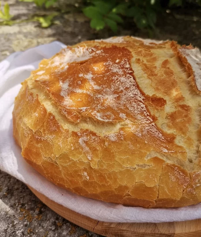 Domaci-kruh