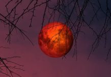 Pomrčina Sunca vidljiva i iz BiH: Evo kada počinje