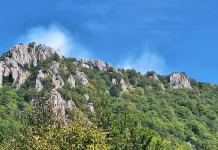 Požar sa Vranovine proširio se na minsko sumjivo područje