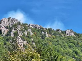 Požar sa Vranovine proširio se na minsko sumjivo područje